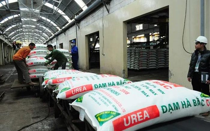 Đạm Hà Bắc ghi nhận lỗ lũy kế hơn 1.200 tỷ đồng trong quý II/2026.