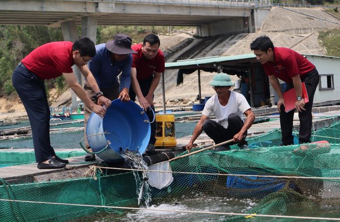 Dòng vốn ngân hàng gần gũi với mọi hoạt động sản xuất kinh doanh liên quan đến kinh tế biển