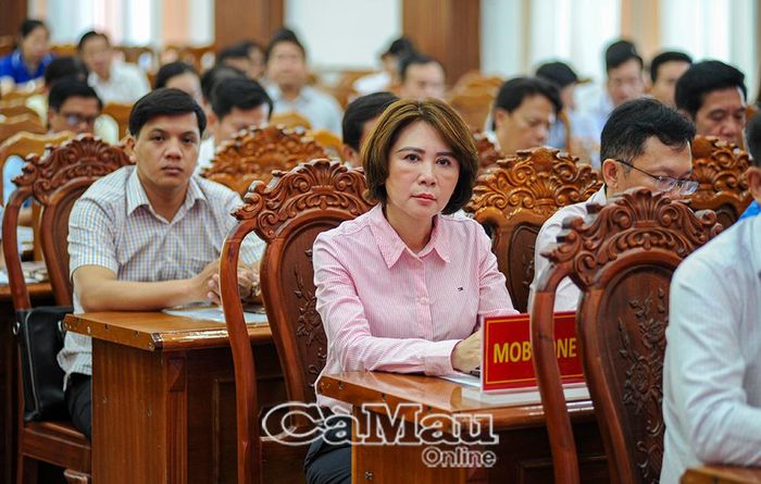 Đại biểu dự hội nghị.