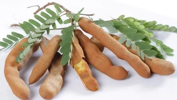 Me tươi được khuyến khích sử dụng hơn các sản phẩm chế biến. Ảnh minh họa