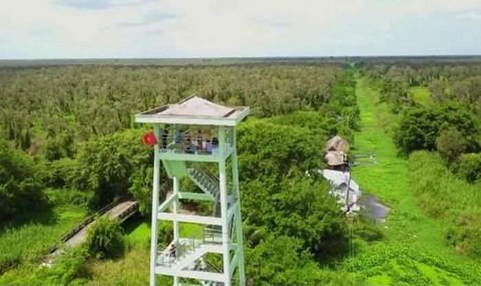 Một góc Vườn Quốc gia U Minh Hạ