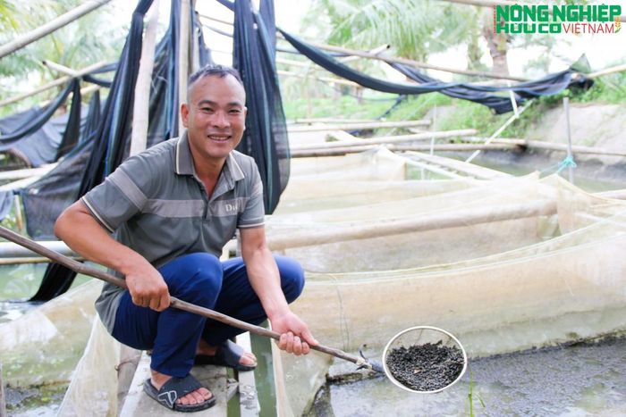 Mô hình nuôi Ốc bươu đen đem lại hiệu quả kinh tế cao của thành viên HTX Trần Quý Bảo, xã Bình Minh.