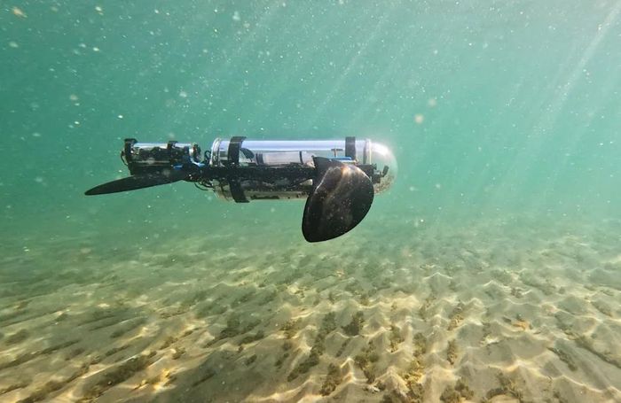 Camera ảnh ba chiều được gắn trên đỉnh của robot tự hành. (Ảnh: Evan Budz)