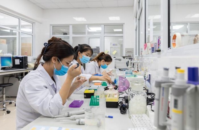 Sinh viên Trường Đại học Y Hà Nội thực hành tại phòng thí nghiệm. Ảnh Trung Hiếu