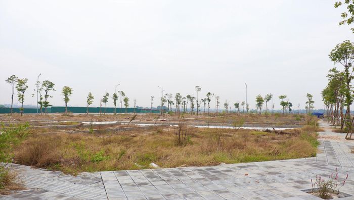 Hoàn thiện "hạ tầng số" về đất đai giúp minh bạch hóa thị trường bất động sản. Ảnh: Doãn Thành