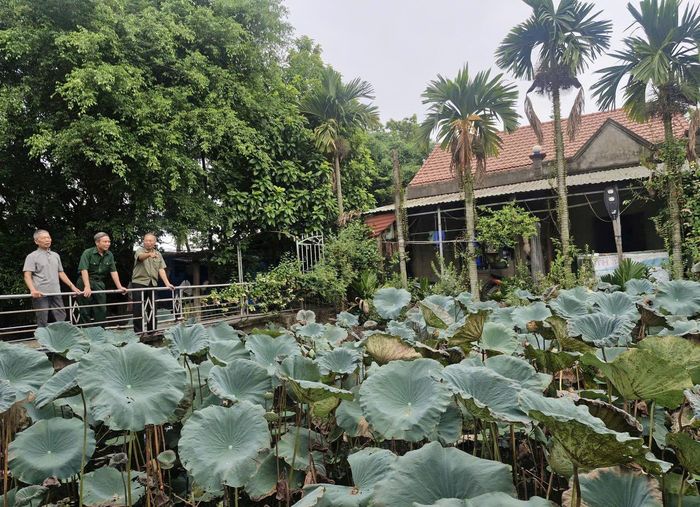 Khu vườn của gia đình cựu chiến binh Đồng Duy Hưng với không gian xanh mát là mô hình phát triển kinh tế tổng hợp cho thu nhập cao. Ảnh: PV