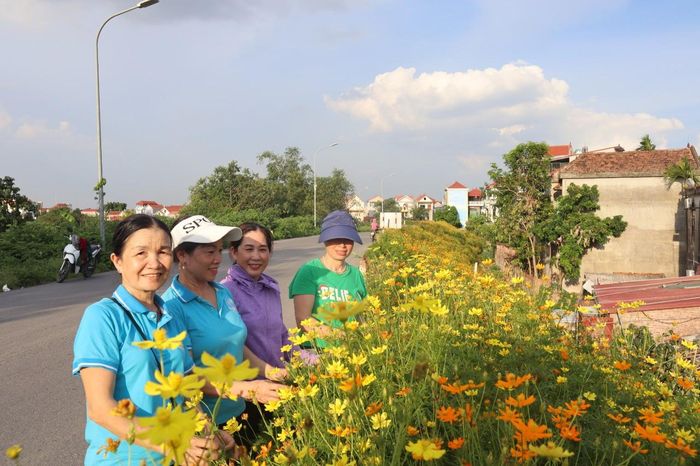 Tuyến đê kiểu mẫu trên địa bàn xã Đan Phượng. Ảnh: Nguyễn Mai