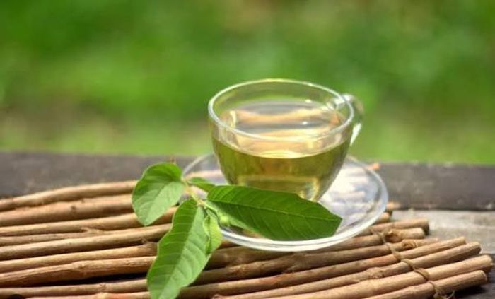 Việc uống nước lá ổi hàng ngày có thể mang lại lợi ích nếu bạn đang trong quá trình điều trị tiêu chảy, giảm cân hoặc kiểm soát đường huyết cấp thiết.