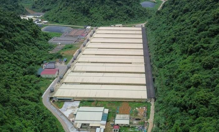 Trang trại lợn Dabaco ở xã Thạch Quảng, nơi xảy ra vụ tai nạn khiến 5 người tử vong. Ảnh: Trần Thắng.