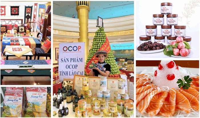 Sản phẩm OCOP Lào Cai ngày càng đa dạng, khẳng định chất lượng và lợi thế cạnh tranh trên thị trường. Ảnh minh họa