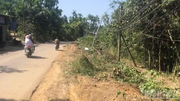 Đến nay xã Thạnh Bình đã giải phóng mặt bằng được 4,6km/7,4km.