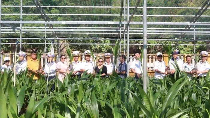 Vùng 4 Hải quân tiếp nhận 8.000 cây dừa của Công ty Trách nhiệm hữu hạn Namlee International trao tặng hưởng ứng Chương trình "Xanh hóa Trường Sa".