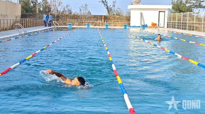 Các vận động thi thi đấu môn bơi tư do.
