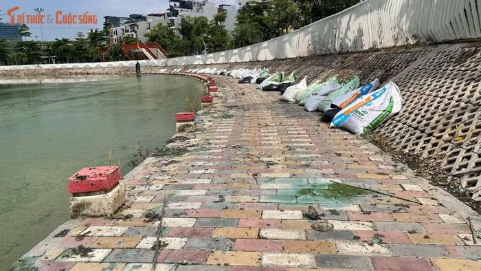 Rác và lá cây khô chưa được thu gom khiến lối đi quanh hồ trở nên nhếch nhác.