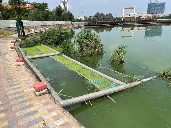 Hồ điều hòa xuất hiện mùi hôi, ảnh hưởng đến người dân đi dạo, tập thể dục quanh công viên.