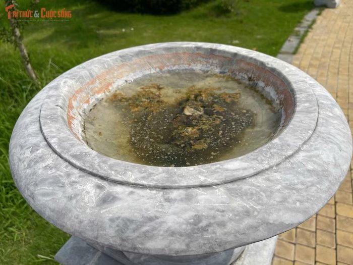 Một số bồn cây bỏ trống, bên trong đọng nước và rác thải.