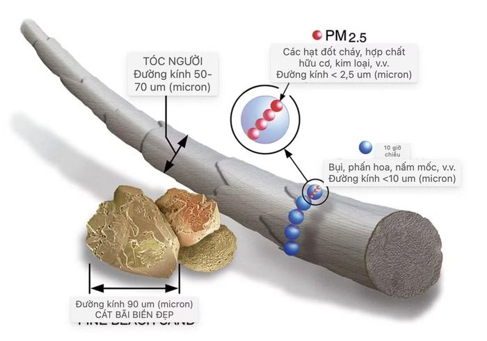 Các hạt ô nhiễm không khí thường được phân thành hai nhóm kích thước chính theo tiêu chuẩn EPA. - Nguồn: Suriyawut Suriya/Canva)