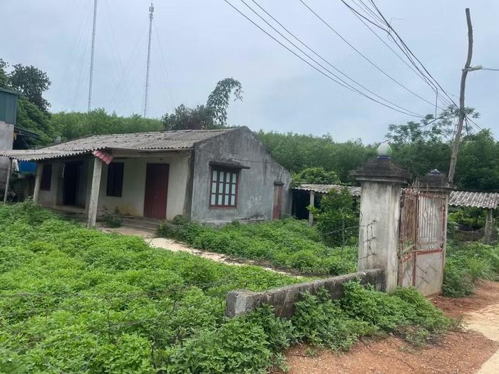 Những căn nhà không người ở.