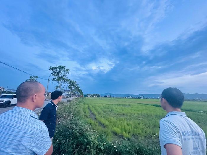 Khu vực đất đấu giá trước đó người dân trồng lúa.