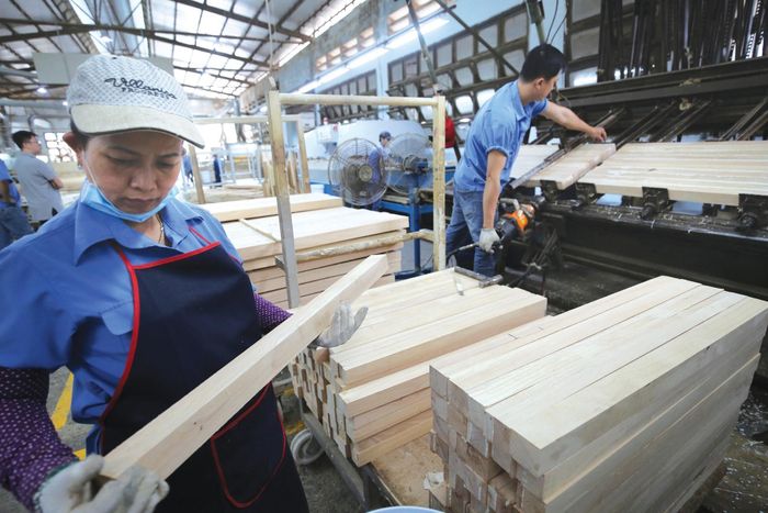 Ba mươi năm qua, lâm nghiệp và công nghiệp gỗ Việt Nam đã phát triển mạnh, nhưng phần lớn vẫn theo một quỹ đạo bị động. Ảnh: VGP/Đỗ Hương