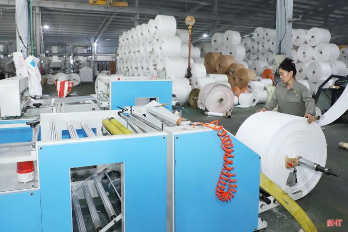 Hoạt động sản xuất bao bì tại Công ty CP Sao Mai.