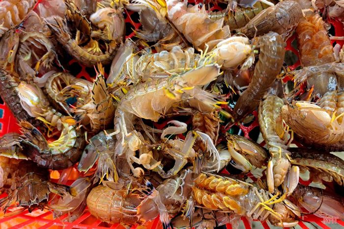 Thời điểm này đang vào mùa khai thác ghẹ và tôm tít nên bà con ngư dân tranh thủ trời yên, biển lặng dong thuyền ra khơi.