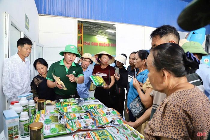 Công ty CP Tập đoàn Quế Lâm được xem là một trong những doanh nghiệp tiên phong, từng bước xây dựng nền tảng cho chuỗi nông nghiệp hữu cơ, tuần hoàn theo chuỗi giá trị Quế Lâm.