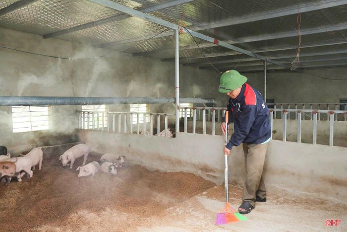 Ông Trần Văn Sơn (thôn Tiên Tiến, xã Đan Hải) đã tổ chức sản xuất lại khi tham gia chuỗi liên kết với doanh nghiệp