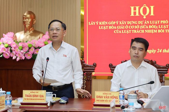 Phó Trưởng đoàn chuyên trách Đoàn ĐBQH tỉnh Trần Đình Gia kết luận hội nghị.