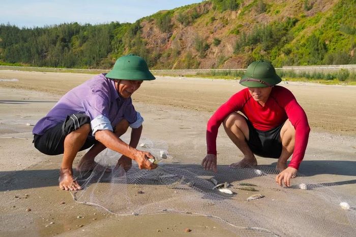 Mỗi mẻ lưới kéo lên mang theo tôm cá giúp ngư dân có thêm thu nhập. (Ảnh: Hữu Quyết/TTXVN)