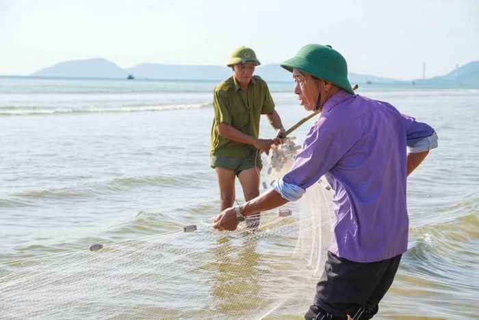 Hiện còn khoảng 25 hộ ở phường Hải Ninh duy trì nghề kéo lưới rùng truyền thống. (Ảnh: Hữu Quyết/TTXVN) 