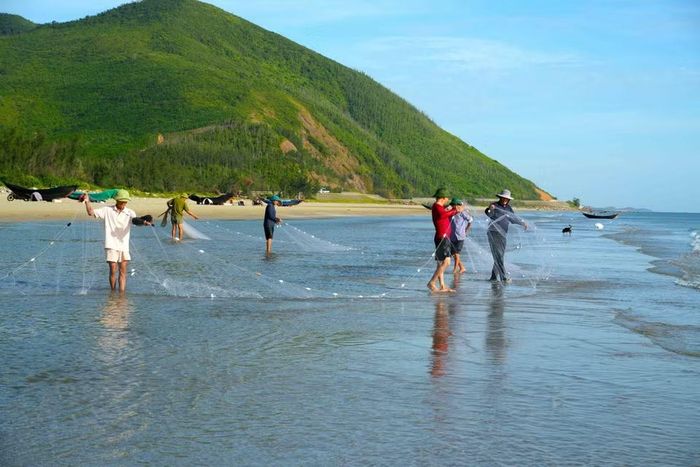 Hàng chục ngư dân phối hợp nhịp nhàng kéo lưới rùng bằng sức người. (Ảnh: Hữu Quyết/TTXVN)