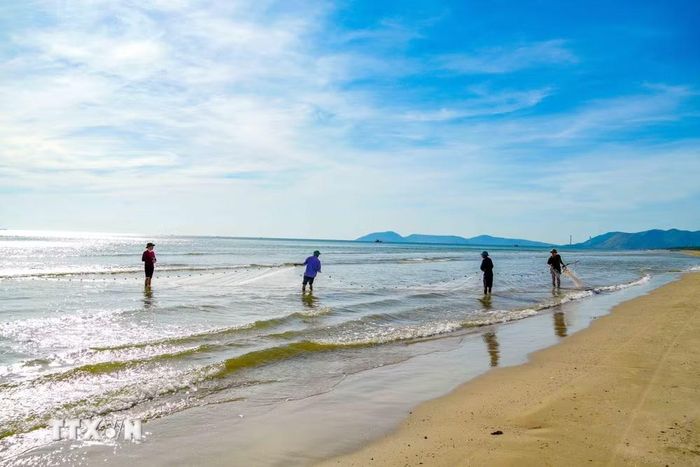 Nghề kéo lưới rùng được địa phương bảo tồn, góp phần quảng bá hình ảnh biển Hải Ninh và nâng cao đời sống người dân. (Ảnh: Hữu Quyết/TTXVN)