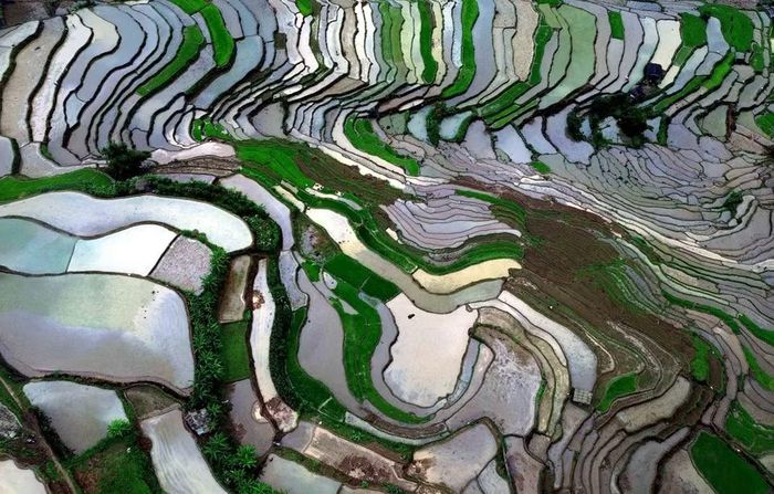 Ruộng bậc thang ở xã Mường La (Sơn La) mùa nước đổ. (Ảnh: Quang Quyết/TTXVN)