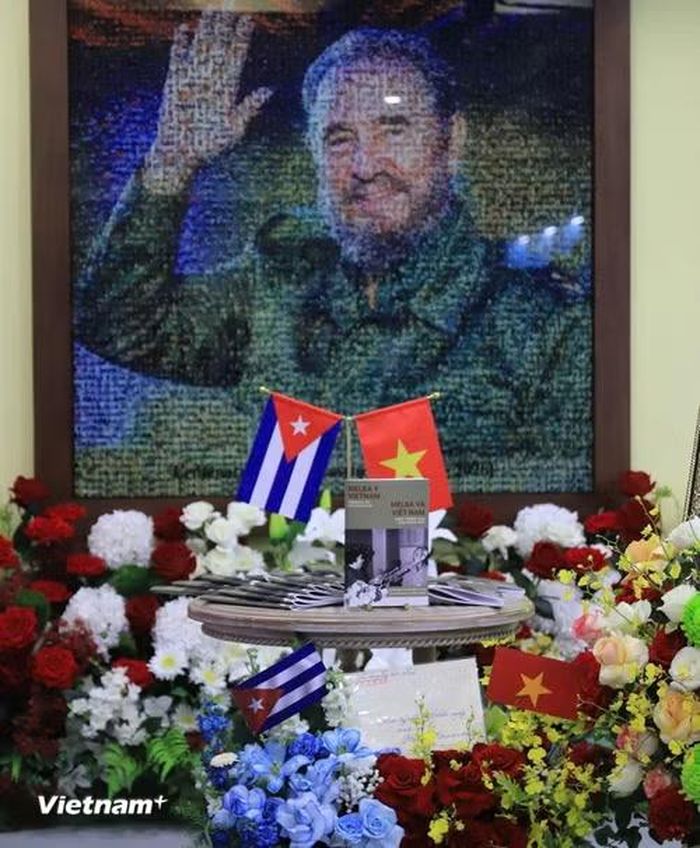 (Ảnh: Minh Vũ/Vietnam+)