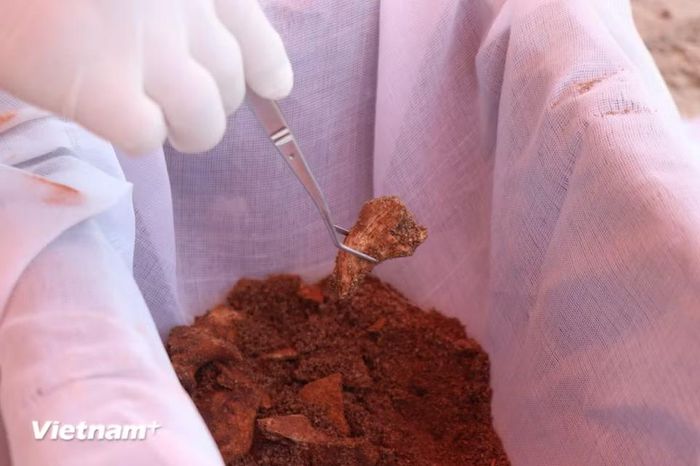 Mẫu sinh phẩm khai quật được như răng, xương ống còn một phần là vô cùng quý giá xác định ADN để trả lại tên cho liệt sỹ. (Ảnh: Phạm Cường/Vietnam+)