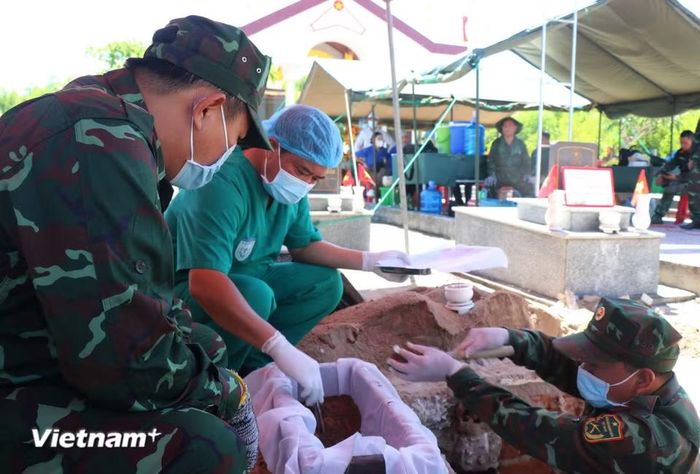 Các cán bộ chiến sỹ đội lấy mẫu cẩn trọng, tỉ mỉ cất bốc, bảo quản khi tìm kiếm được hài cốt, mẫu sinh phẩm. (Ảnh: Phạm Cường/Vietnam+)