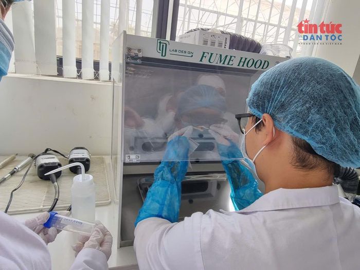 Quá trình làm sạch mẫu sinh phẩm thu được từ các nghĩa trang.