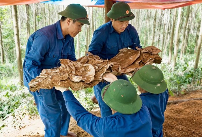 Đội Tìm kiếm, Quy tập hài cốt liệt sĩ Sư đoàn 968 (Quân khu 4) tìm kiếm, quy tập hài cốt liệt sĩ tại đồi Chôm Chôm, xã Hiếu Giang, tỉnh Quảng Trị.