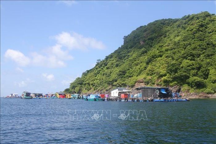 Việc ứng dụng công nghệ số trong nuôi trồng thủy sản là hướng đi chiến lược để Cà Mau xây dựng nền kinh tế xanh, kinh tế số và phát triển bền vững trong dài hạn.