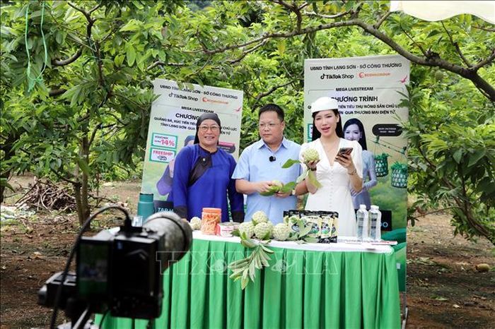 Các nhà sáng tạo nội dung nổi tiếng trên không gian mạng được cơ quan chức năng tỉnh Lạng Sơn và các địa phương mời về livestream quảng bá, bán na cho nông dân.