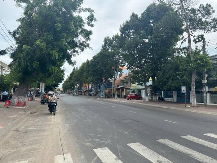 Hai bên vỉa hè đường Trần Hưng Đạo sẽ thi công vỉa hè; xây dựng mới hệ thống thoát nước mưa, nước thải; ngầm hóa lưới điện hạ thế và viễn thông.