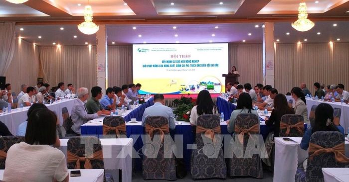 Toàn cảnh hội thảo. Ảnh: Hương Giang - TTXVN