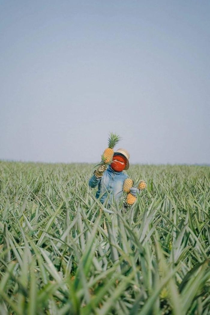 Ảnh: Bộ Công Thương