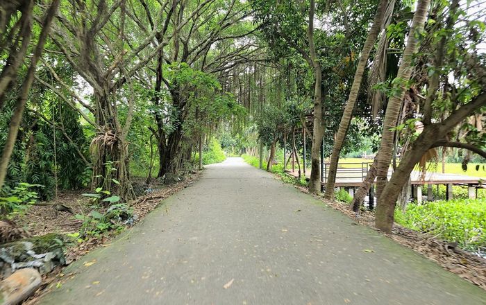 Khu sinh thái hiện trong tình trạng hoang hóa.