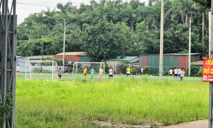 Một phần diện tích khu sinh thái hiện bị chiếm dụng, cải tạo thành sân bóng đá phục vụ kinh doanh.
