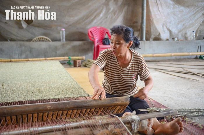 Bà Mai Thị Sâm, xã Tân Tiến, tỉnh Thanh Hóa cho biết: “Chúng tôi đã gắn bó cả cuộc đời với cây cói. Từ nhỏ đã theo bà theo mẹ học làm cói và cho đến tận bây giờ vẫn miệt mài với công việc này. Ngày trước, chúng tôi chủ yếu dệt chiếu để bán trong nước, còn bây giờ sản phẩm đa dạng hơn nhiều. Ngoài chiếu còn có giỏ, túi, đồ trang trí từ cói để xuất khẩu. Nhờ vậy mà người dân cũng có thêm việc làm và thu nhập ổn định hơn”.