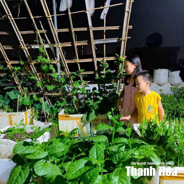 Các con của chị Lê Thị Hải yêu thích khu vườn trồng rau trên sân thượng của gia đình.