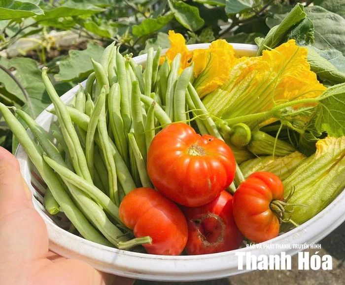 Thành quả thu hoạch là bữa cơm có rau xanh, quả ngọt cho gia đình.