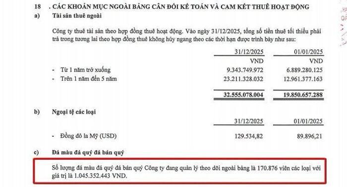 Nguồn: Báo cáo tài chính hợp nhất sau kiểm toán năm 2025 của SJC.